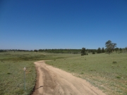 open_views