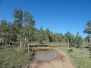 puddle_in_a_curve