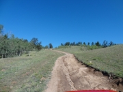 rutted