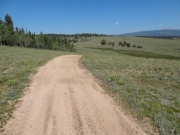 see_for_miles