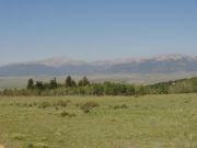 timberline