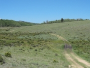 trail_through_mud