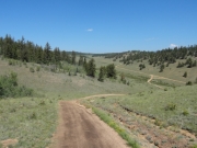 waves_of_trail
