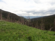 big_view