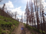 early_climb