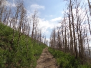 narrow_climb