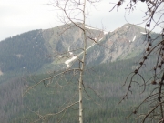 sheep_mountain