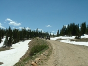 driving_on_the_trail