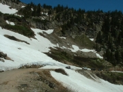 on_the_trail