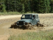 ladd_in_the_mud