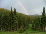 rainbows