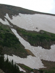 ski_tracks