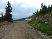 timberline