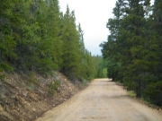 mellow_trail