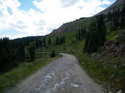 sparse_trees