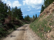 green_hillside
