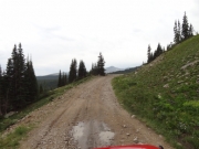 timberline