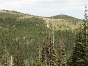 boulder_wagon_road