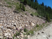 rocks_to_the_side