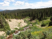 runoff