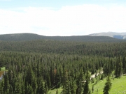 see_for_miles