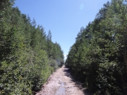 start_of_the_trail