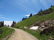 timberline
