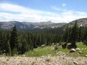 view_from_near_the_top