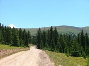 open_trail