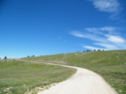 alpine_view