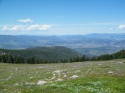 big_view