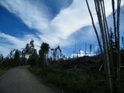 clouds