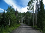 early_trail