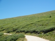 green_and_blue