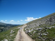 high_shelf_road