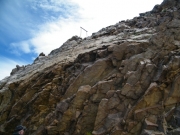 old_poles