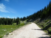 sunny_trail
