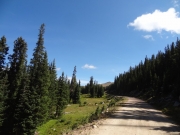 approaching_timberline