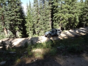 holly_on_the_trail