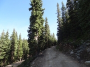 switchback