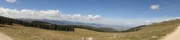 timberline