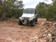 roger_on_the_trail