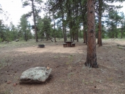 campground_part_5