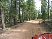 around_trees