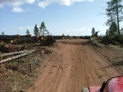 cut_trees_part_1