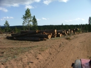 cut_trees_part_2