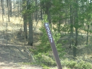 forest_service_sign_1