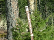 forest_service_sign_2
