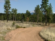 mellow_trail