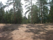 start_of_the_trail